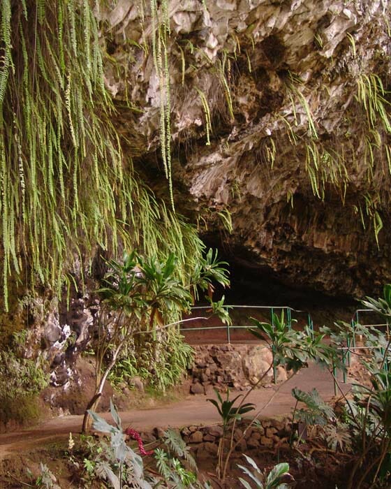 Fern-Grotto1